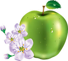 15 green apple png image 15 green apple png image
