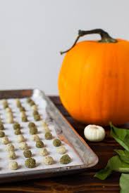 These homemade cat treats are made with ingredients that are safe for both humans and cats and are a healthy and fun alternative to storebought treats! Diy Cat Treats Mini Pumpkin Spice Doughnut Holes For Your Kitty