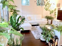 グリーンマダムさんの投稿 部屋 観葉植物 グリーンインテリア インテリアグリーン グリーン インテリア インテリア ボトル 観葉植物