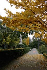 I recommend to go and visit el jardin botanico de ambato. Real Jardin Botanico De Madrid Wikiwand