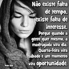 Ercilia Silva (erciliamourasil)