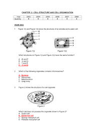 Plant cells plasmolyze when immersed in a hypertonic solution when the cell wall detaches under high pressure causing water to be lost. Test 1 F4 C2 C3