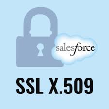Learn what it takes to pass the salesforce platform app builder certification exam in this bestselling course from udemy. Refresh Expiring Salesforce X509 Certificates