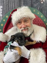 RIPLEY gave Santa his Christmas wish