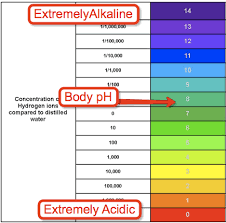 Acid Alkaline Diet Free Recipes And Alkaline Diet Plan