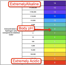 acid alkaline diet free recipes and alkaline diet plan