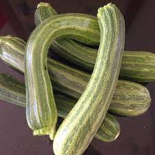 Low susceptibility to wind damage. Cucurbita Pepo Var Cylindrica Striato D Italia Courgette Striato D Italia In Gardentags Plant Encyclopedia