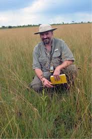 Image result for Micrargeriella aphylla