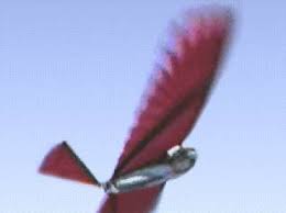 Serious and intelligent, orbot is loyal to eggman. Encyclopedia Ornithopter Aircraft Configurations An Ornithopter Is