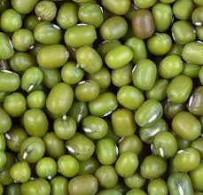 Image result for Vigna radicans