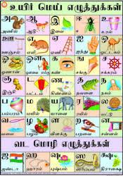 Tamil Alphabet Chart Kingkraft
