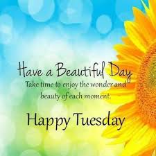 I don't care whether the sun rises or not, my morning starts only after i say that i love you a lot. 35 Good Morning Messages For Love And Wishes With Beautiful Images Funzumo