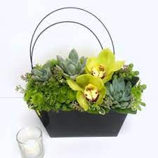On major holidays, happy days, or even sad occasions, you can find the right flowers in phoenix. Send Sympathy And Funeral Flowers Phoenix Az Flower Delivery Bloomnation