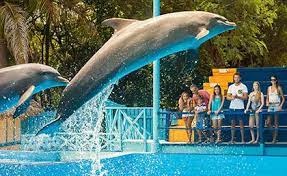 Manatì park es un divertido parque lleno de aventura en punta cana, b·varo. Manati Park Bavaro Punta Cana Dominican Republic