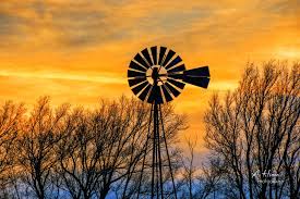 I needed a little pick-me-up today. These little guys always do that for  me!! https://www.facebook.com/wildfocusphotography/