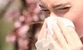 Fall Allergy Season Hits Sweden Hard in 2025