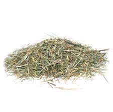 Image result for Swertia kilimandscharica