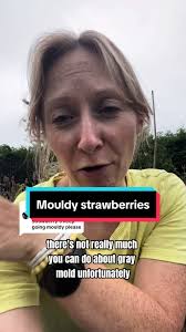 Indoor Strawberry Plant Growing Mold