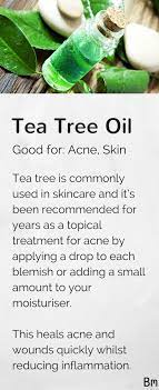 Tea Tree Essential Oil Prevents Acne Heals Wounds Quickly And Reduces Inflammation T Tea Tree Oil Benefits Tea Tree Oil For Acne Essential Oils For Headaches