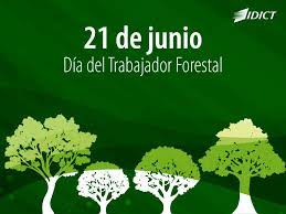 El proyecto establece que desde el 2022, el día nacional de los pueblos indígenas será un feriado móvil que conmemorará el año nuevo de los pueblos originarios que se realiza en el. 21 De Junio Cuba Festeja El Dia Del Trabajador Forestal