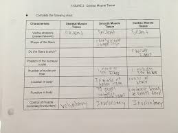 Solved Please Help Finnish This Table If A Section Of My