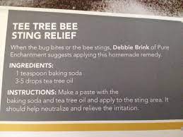 Tea Tree Bee Sting Relief Bee Sting Relief Herbal Oil Natural Medicine