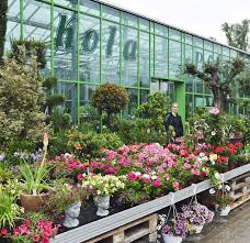 Willkommen in ihrem gartencenter pötschke in schwerte. Peine Kola Garten Und Landschaftsbau Mit Neuem Gartencenter