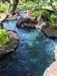 Natural Swimming Pool 15 Most Beautiful Ideas To Inspire You Recipegood Pool Landscaping Backyard Pool Backyard Pool Designs