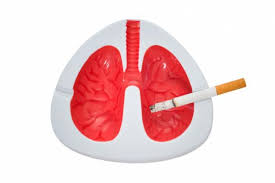 Dadurch fühlt man sich nicht nur besser, höchstwahrscheinlich. Die Letzte Zigarette Ihr Korper Sagt Danke Gesundheit De