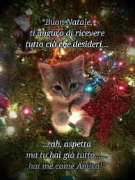 Frasi Buon Natale Adorabili Gattini Gattini Cane Natale