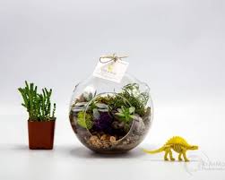 Terrarium Kit Makerhoods Market Terrariums Kits Terrarium Relaxing Activities