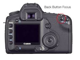 F A Q Back Button Focusing Photography Help Photoshop Photography Improve Photography