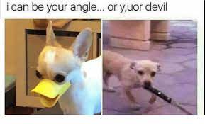 I Can Be Your Angle Or Yuor Devil Meme On Me Me