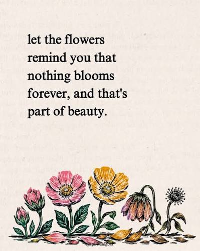 Let the flowers remind you, that nothing blooms forever and thats part of beauty.