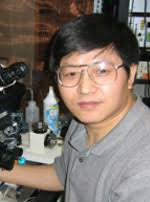 Wen-Jun Gao Lab Members: Neurobiology and Anatomy