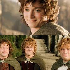 LordOfTheRings Frodo's smile 😭 #Regram via @lotrscns