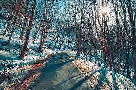 Bruno Tizon (brunotizon) — Perfil