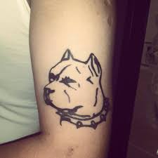 Pittbull Love Pitbull Tattoo