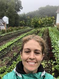 Marketing lettuce as cut mixes or complete heads?