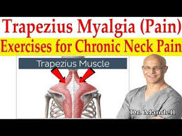Pin On Back Exercise