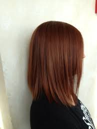 Brown Hair With Dimension Hair Color Auburn Cinnamon Hair Hair Styles