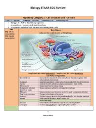 Staar is state testing program that was launched in spring 2012 to replace taks (texas assessment of knowledge and skills) which had been in use for several years. Biology Staar Eoc Review Study Guide Dna Replication Cell Biology