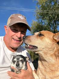 Cattle dog herding techniques and relaxed cattle behavior