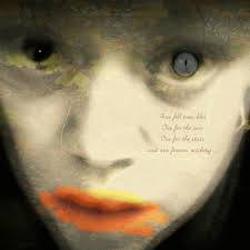 Sharon Woods Art & Photography