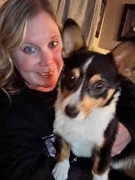 Corgi wants snacks and snuggles, no compromise