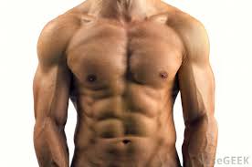 Our engaging videos, interactive quizzes this article will give you an overview of the torso musculature and serve you as a hub from which you can. What Is A Torso Track With Pictures