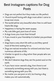 Unused Captions For Your Dog S Instagram Woof Woof Woof Good Instagram Captions Dog Instagram Captions Instagram Captions