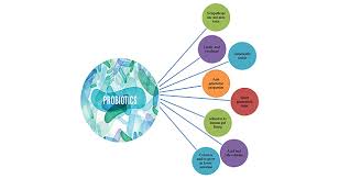 Probiotics, Prebiotics, and Synbiotics: An Introduction - Food Marketing  Technology