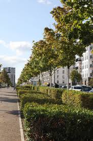 So ganz werden die am güterplatz bis 2021 entstehenden 522 wohneinheiten aber nicht der lebensrealität der meisten frankfurter. Wohnen Im Europaviertel Wie Das Neue Stadtquartier Wirklich Ist