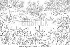 Free printable flower coloring pages for adults. Coloring Page Adult Vector Photo Free Trial Bigstock